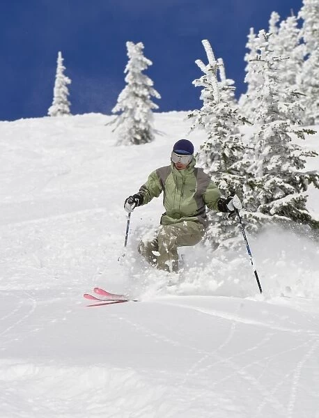 Telemark Skier enjoying blue sky powder day at Whitefish Mountain Resort in Montana
