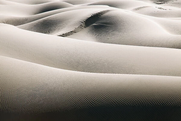 USA California Valley Dunes 6