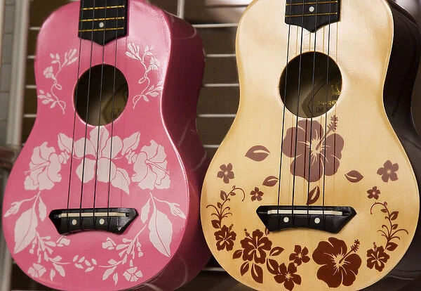 USA, Hawaii, Kona. Two painted ukuleles on display in shop
