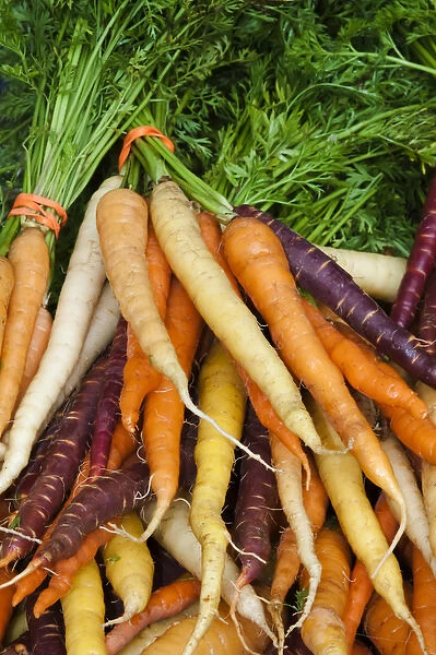 USA; North America; Georgia; Savannah; Fresh carrots at a Farmers Market