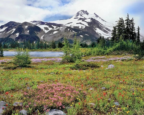 USA, Oregon, Mt Jefferson Wilderness. Mt Jefferson and field of wildflowers. Credit as