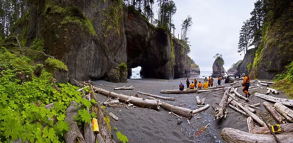 USA. Washington state. A group of sea kayakers come ashore for a break at Cape Flattery
