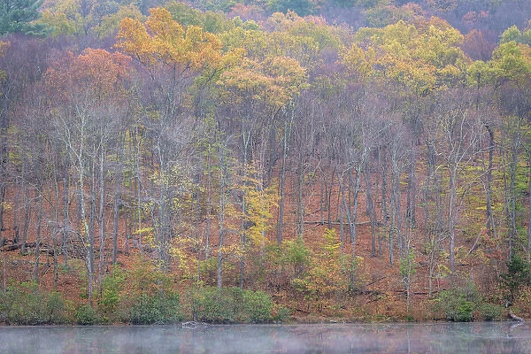 USA, West Virginia, Delaware Watergap Recreational Area. Lake and forest in autumn
