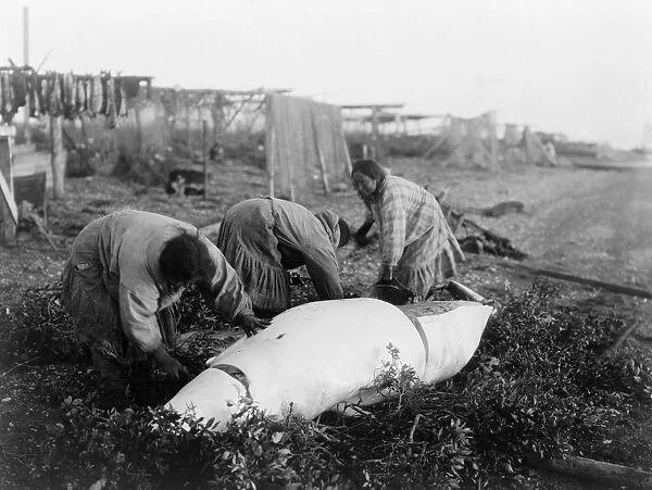 ALASKA: WHALING, c1929. Inuit women cutting into a recently caught whale, Kotzebue Sound, Alaska