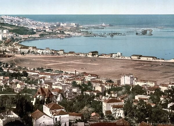 ALGERIA: ALGIERS, c1899. View of Algiers from the suburb of Mustapha, Algeria. Photochrome