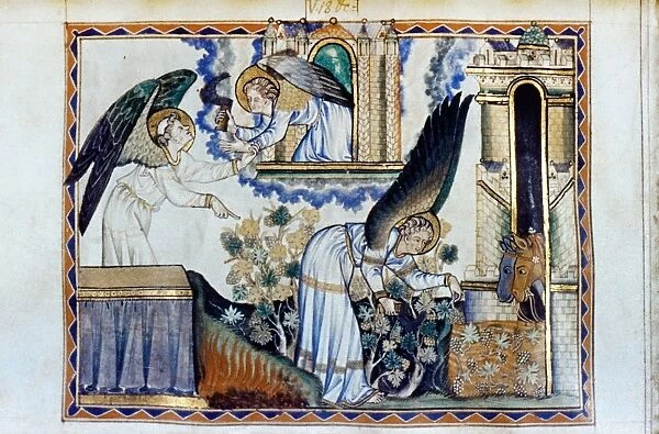 ANGELS MAKING WINE. English illumination, c1275, from Apocalyptic manuscript