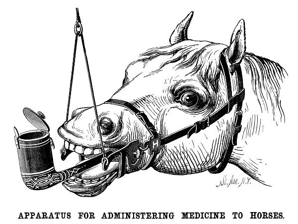 Apparatus for administering medicine to horses. Wood engraving, American, 1878