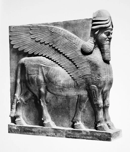 ASSYRIA: BULL SCULTPURE. Bull guardian from the palace of Ashurnasirpal II at Nimrud. Stone carving, 883-859 B. C