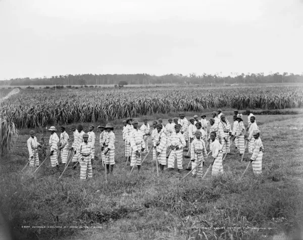 Rude GalleryのCHAIN GANG Chain Gang Print, c1903 (Crime and Punishment). Art Prints