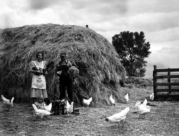 CHICKEN FARMERS, 1939. Chicken farmers in the San Luis Valley, Colorado