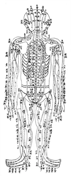 Kidney Meridian Chart