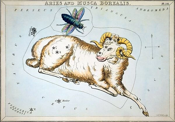 CONSTELLATION: ARIES. Figuration of the constellations Aries (ram) and Musca Borealis (northern fly). Line engraving by Sidney Hall from Uranias Mirror, London, 1825