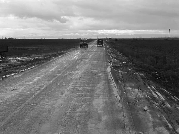 COUNTRY ROAD, 1939. Automobiles on a rural road between potato fields in Kern County, California