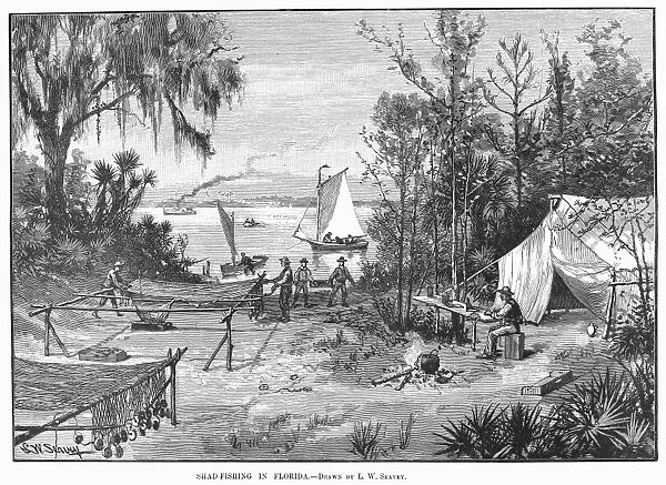FLORIDA: SHAD FISHING. Shad fishing in Florida. Line engraving, 19th century