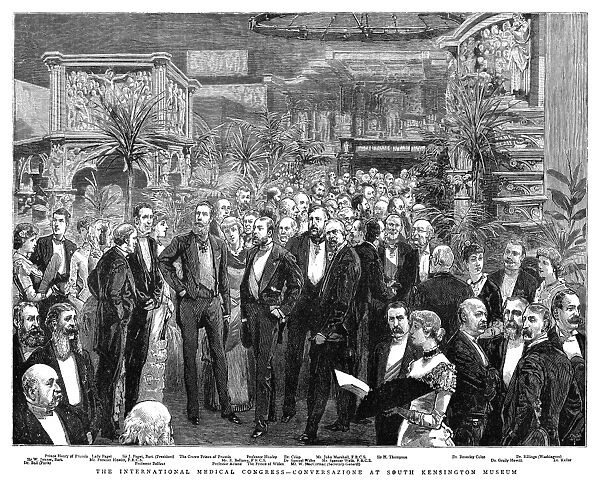 MEDICAL CONGRESS, 1881. The International Medical Congress at the South Kensington