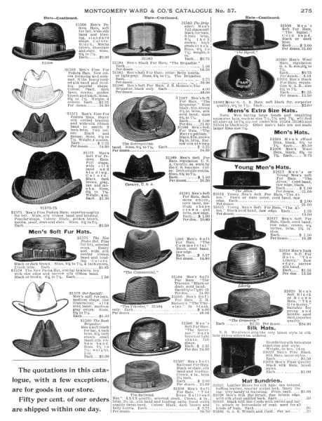 MENs HATS, 1895. From the mail-order catalog of Montgomery Ward & Co