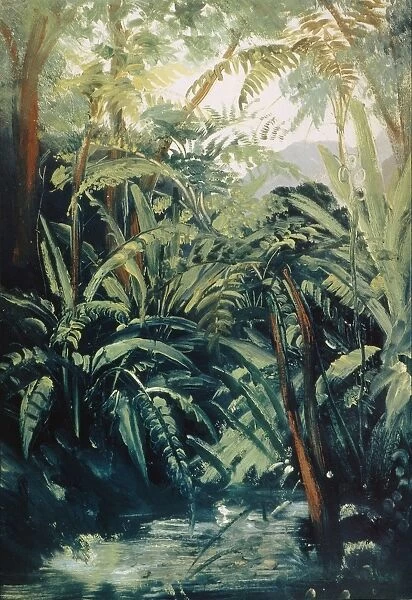 MEXICO: JUNGLE, 1831. Ferns in a gorge between Xalapa and Cordoba, Mexico: oil on board