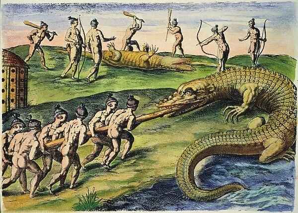 NATIVE AMERICANS: CROCODILES, 1591. Florida Native Americans killing crocodiles (alligators). Engraving, 1591, by Theodor de Bry after a now lost drawing by Jacques Le Moyne de Morgues