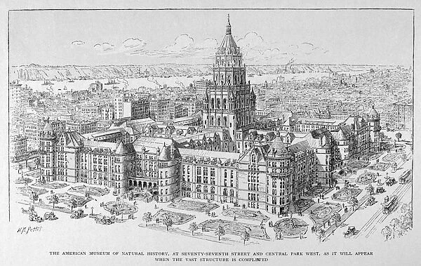 NATURAL HISTORY MUSEUM. Projected drawing of the American Museum of Natural History in New York City, before its completion, late 19th century