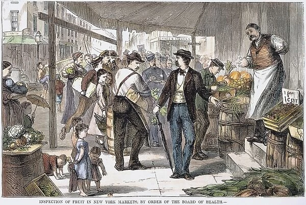 An officer from the Board of Health inspecting the produce at a New York City vegeatble market: wood engraving, American, 1873