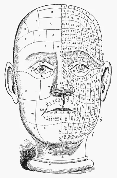 Phrenology Chart