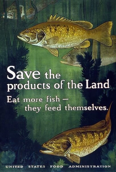 POSTER: CONSERVATION, 1917. Save the products of the land - Eat more fish - They feed themselves