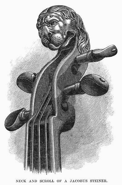 STAINER VIOLIN. Neck and scroll of a violin made by Jacobus Stainer (or Steiner; c1617-1683). Wood engraving, American, 1881