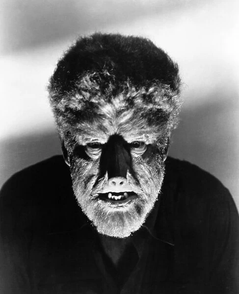 WOLFMAN, 1941. Lon Chaney, Jr. in the title role of The Wolfman, 1941
