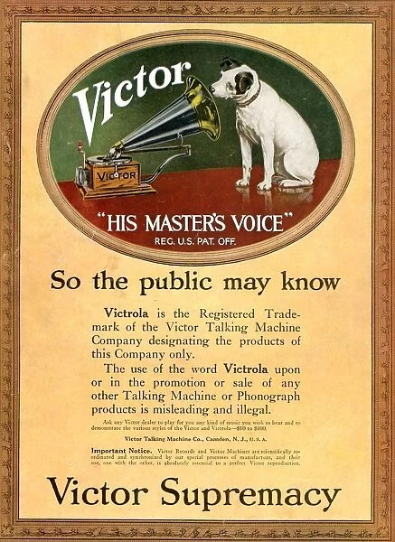 Nipper Collectibles The RCA Victor Phonograph Trademark Dog HMV Collectors Guide 