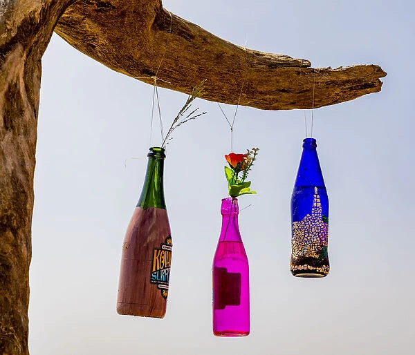 Decorated bottles hanging from a tree at the resort of Kovalam in Kerala, India