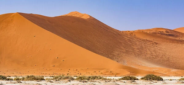 Dunes in the Namib Naukluft Park in Namibia
