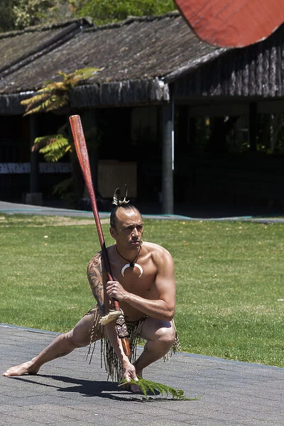 A Maori performer at Te Puia in Roturua, Bay of Plenty in New Zealand