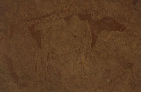 Algeria, Sahara desert, Tassili-n-Ajjer National Park, site of Sefar, rock painting depicting bull