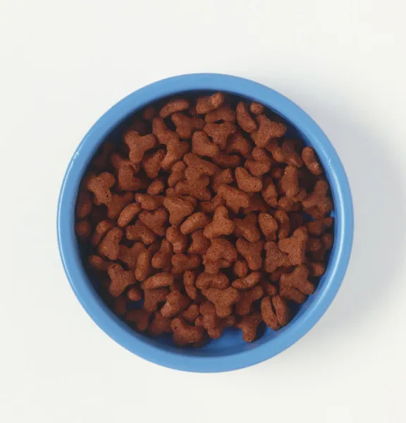 Bowl of Cat biscuits, view from above