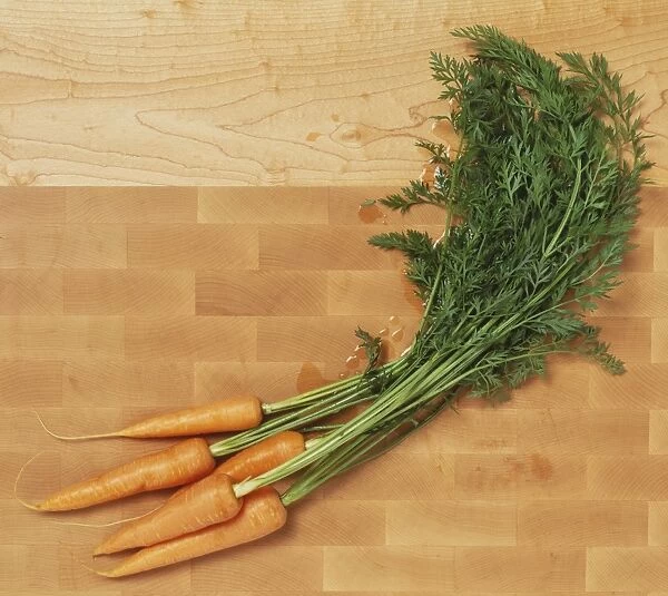 Daucus carota, five Carrots with long green stems, close up