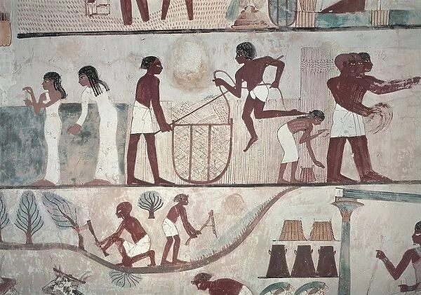 Egypt, Luxor Governorate, Luxor, Necropolis of Sheikh Abd el-Qurna, Tomb of Nakht, detail of a Fresco depicting some agricultural activities
