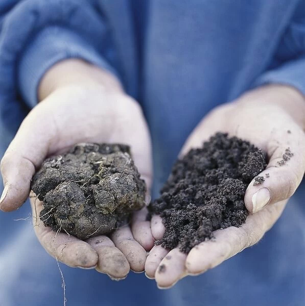 Holding two different soil types in palms of hands