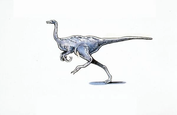 Illustration of Archaeornithomimus
