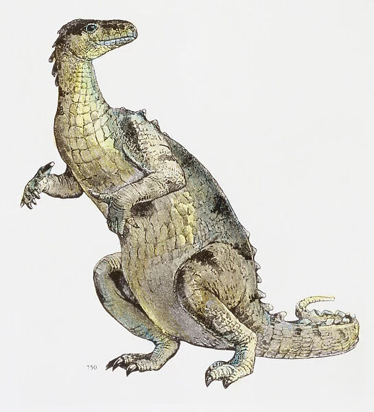 An illustration of an Iguandon looking over its shoulder