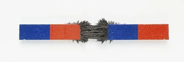 Two magnets with iron filing inbetween them