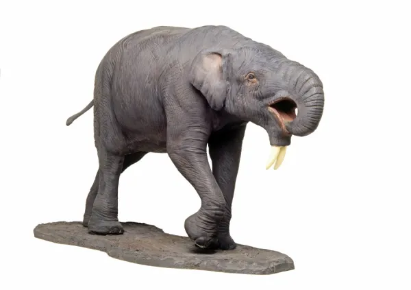 Deinotherium (white background)