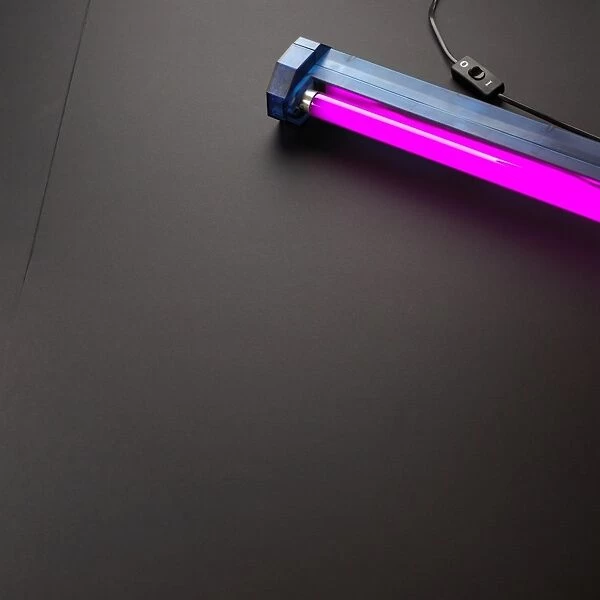 Pink tube light