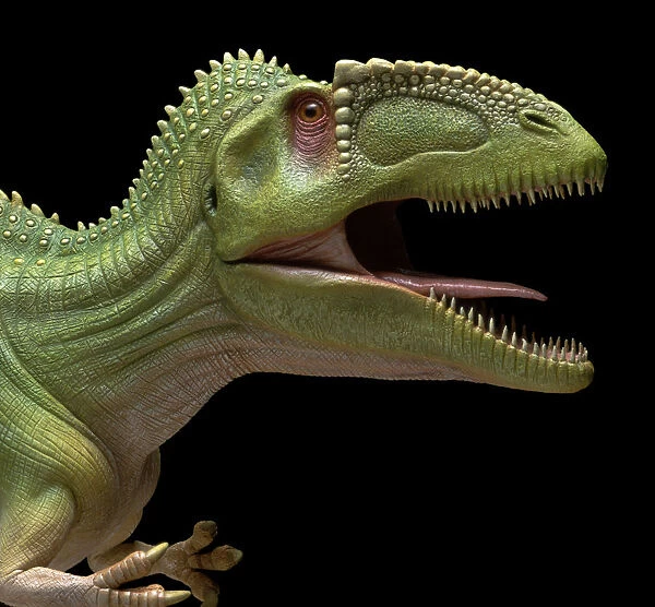 Profile of model of Gigantosaurus, mouth open For sale as Framed