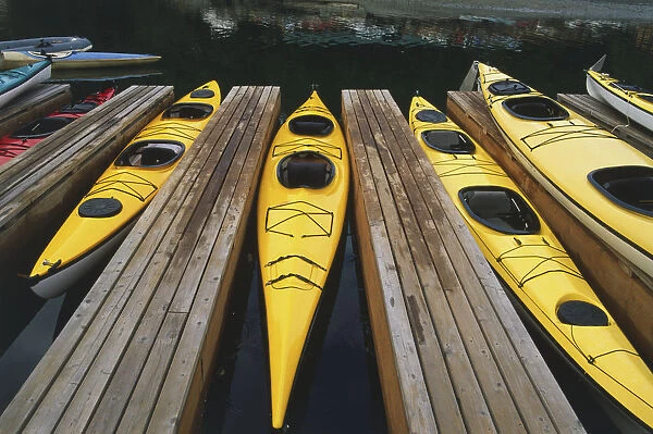 USA, Pacific Northwest, Washington State, San Juan Island, Snug Harbor, sea kayaks moored between wooden jetties at Mitchell Bay, on west side of island