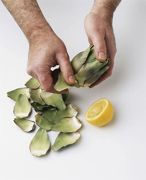 Using hands to peel leaves off artichoke head, lemon nearby (preserving artichokes)