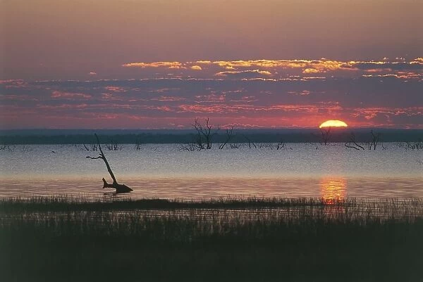 Zambia, Kafue National Park, Lake Kafue during the wet season at sunset