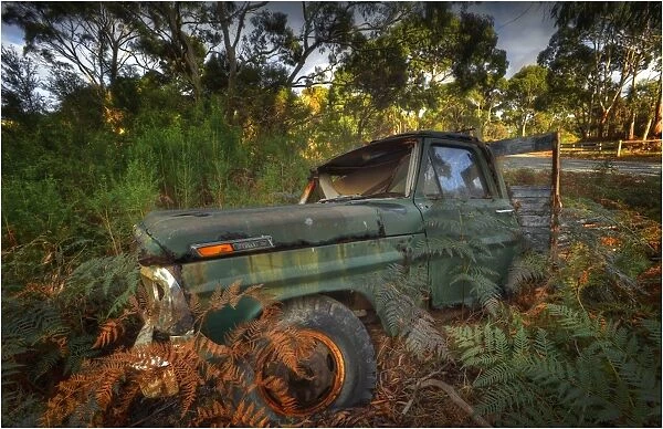 Derelict old Ford Pick-up lying on the roadside on King Island, Bass Strait, Tasmania, Australia