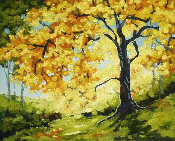 Morning Sunlight Glowing Behind Autumn Tree Oil Painting