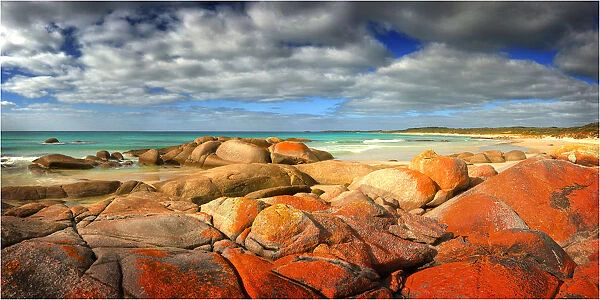 Red coloured rocks and boulders caused by living lichen, create a dramatic splash of colour at Disappointment bay King Island Tasmania