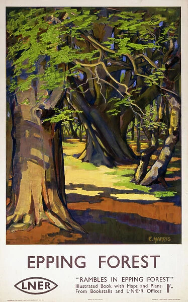 Epping Forest, LNER poster, 1923-1947
